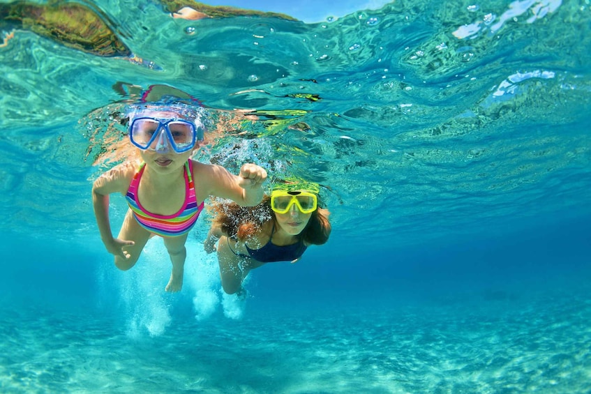 A person swimming underwater in clear blue water. 1