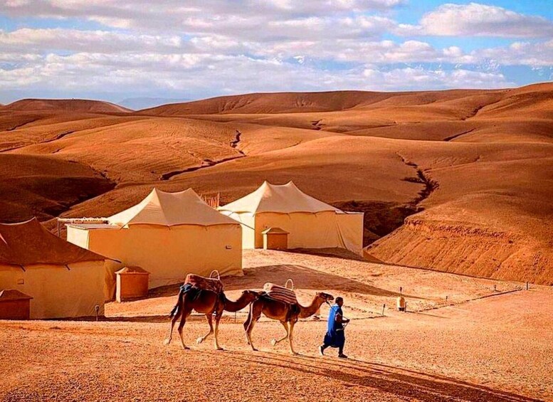 A desert landscape with tents and camels. 4