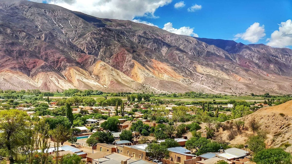 Picture 5 for Activity From Salta: Serranías del Hornocal & Hill of 14 Colors Tour 5
