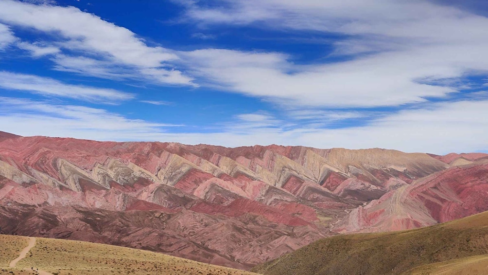 Picture 9 for Activity From Salta: Serranías del Hornocal & Hill of 14 Colors Tour 5