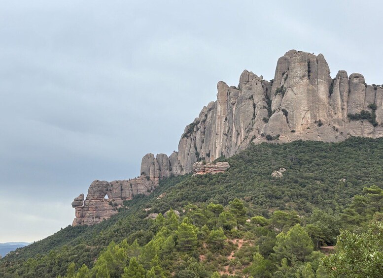Picture 26 for Activity Barcelona: Very Early Morning Montserrat trip, Abbey & hike 2