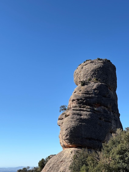 Picture 29 for Activity Barcelona: Very Early Morning Montserrat trip, Abbey & hike 3