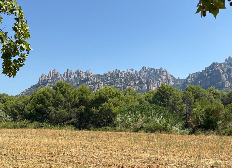 A dry grass field, green trees, and rocky mountains under a clear sky. 3