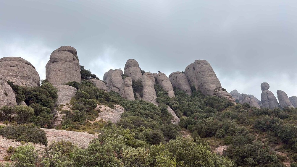 Picture 27 for Activity Barcelona: Very Early Morning Montserrat trip, Abbey & hike 5