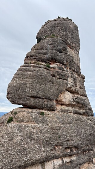Picture 28 for Activity Barcelona: Very Early Morning Montserrat trip, Abbey & hike 4
