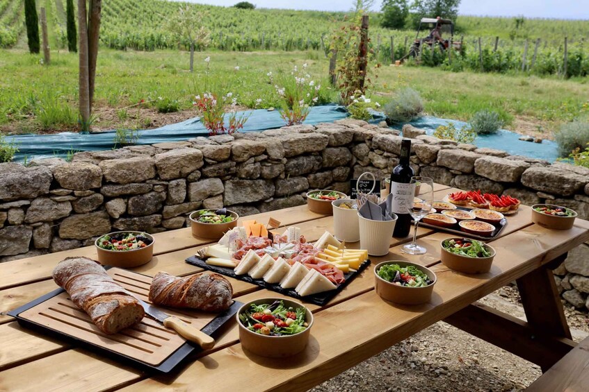 Picture 3 for Activity Saint Emilion Wine and Bike Tour 5