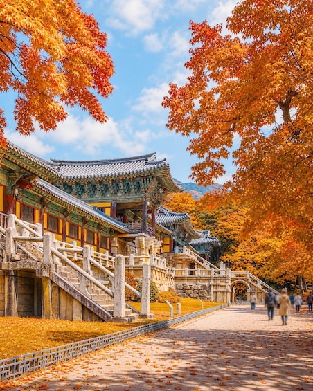 Picture 1 for Activity Busan: Gyeongju Guided Day Trip to Three Kingdoms Capital 5