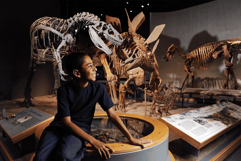 Picture 1 for Activity Denver: Museum of Nature and Science Entry Ticket 2