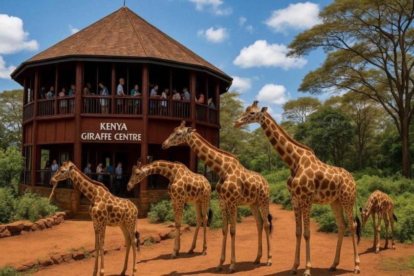 Picture 48 for Activity Karen Blixen, Beads Factory, Giraffe Center & Bomas Day Tour 2