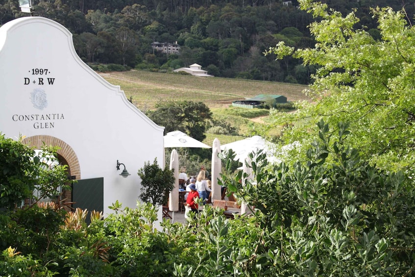 A vineyard with a white building labeled "Constantia Glen" and "D+R W." 1