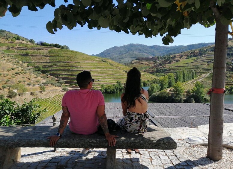 Picture 23 for Activity From Porto : Douro Valley Sightseeing with 1 Winery Visit 1