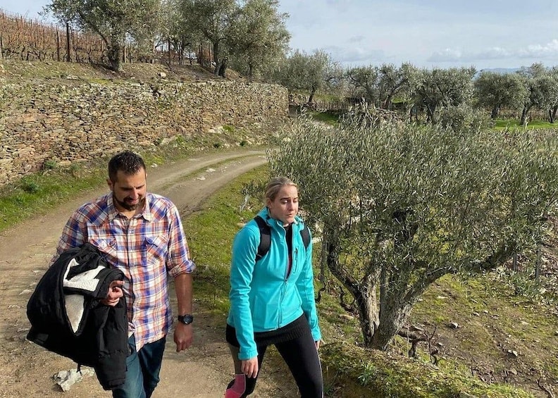Picture 26 for Activity From Porto: Douro Valley Hike w/ Picnic at a boutique Winery 2