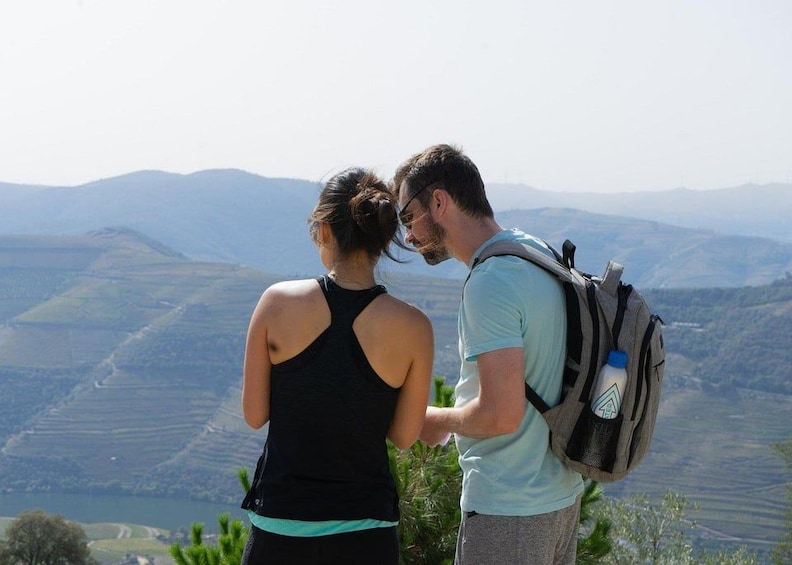 From Porto: Douro Valley Hike w/ Picnic at a boutique Winery 1