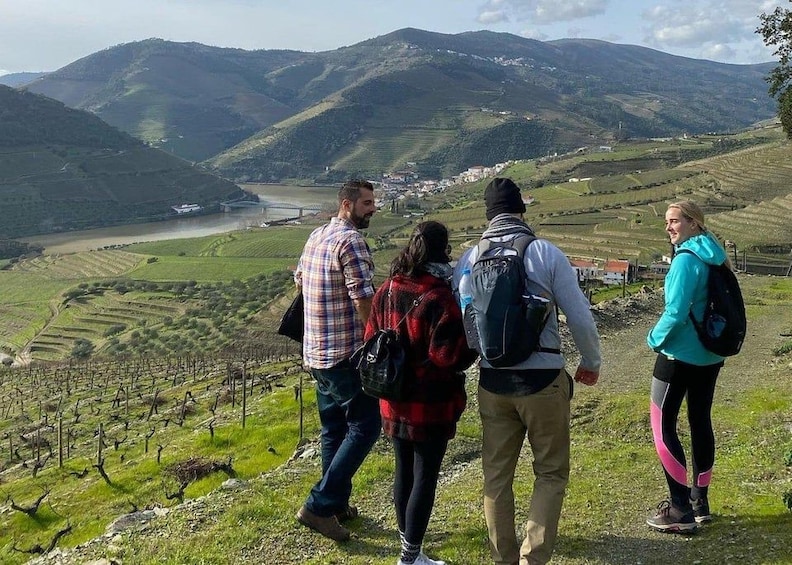 Picture 2 for Activity From Porto: Douro Valley Hike w/ Picnic at a boutique Winery 3