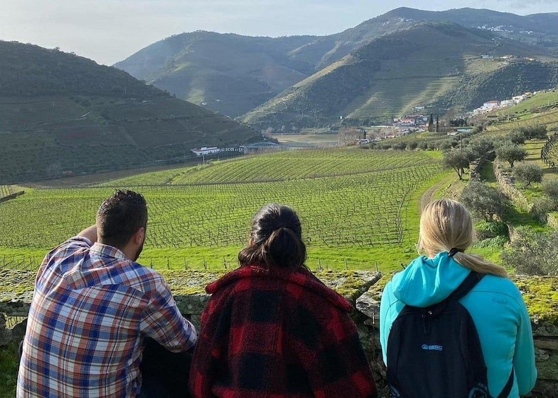 Picture 21 for Activity From Porto: Douro Valley Hike w/ Picnic at a boutique Winery 4