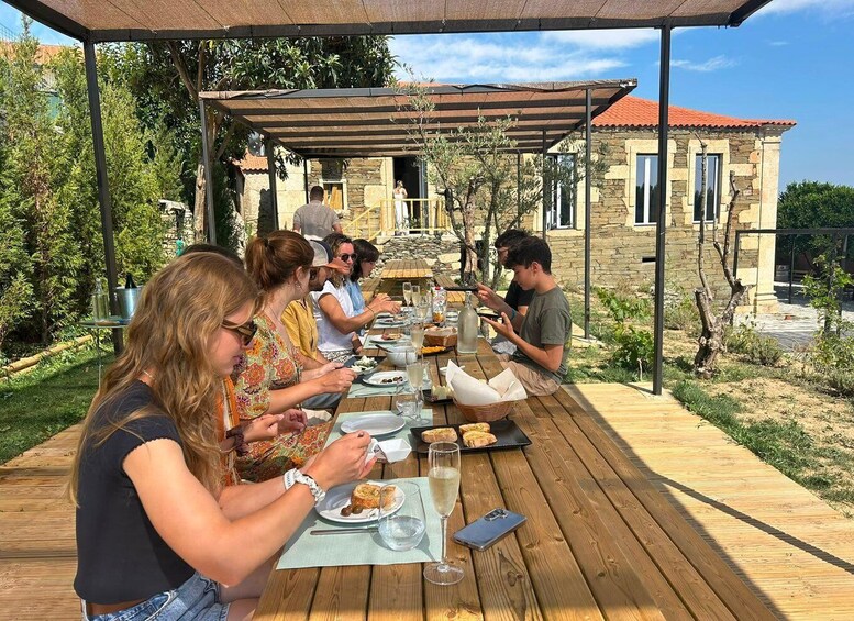 From Porto: Winery Brunch & 1h Boat tour at the Douro Valley 1