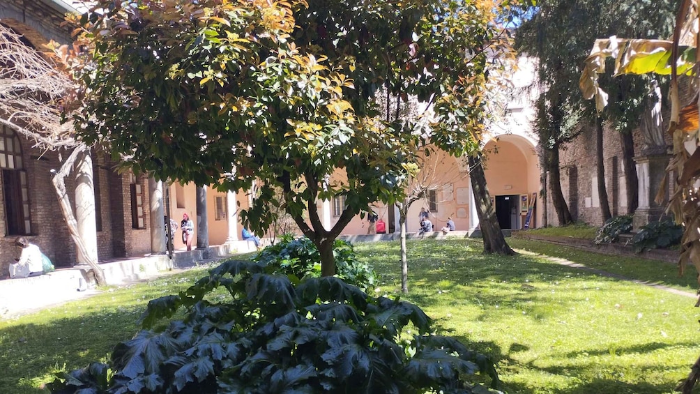 A courtyard with a tree, grass, and brick buildings. 2