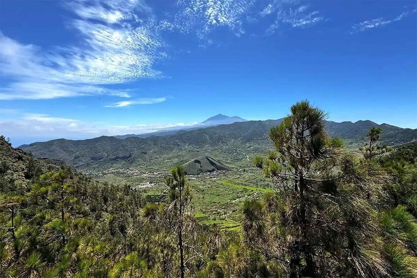 Picture 13 for Activity Gems & Pirates: Tierra de Trigo, Masca, Garachico, Icod Tour 3