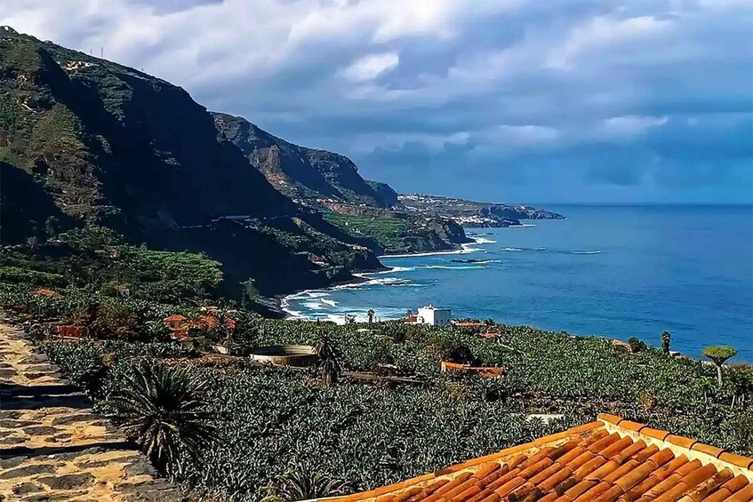Picture 12 for Activity Gems & Pirates: Tierra de Trigo, Masca, Garachico, Icod Tour 2