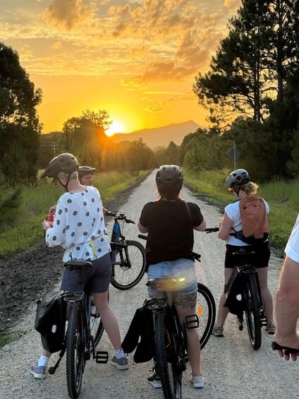 Picture 1 for Activity Guided Evening Glow Worm Experience - Byron Bay 2