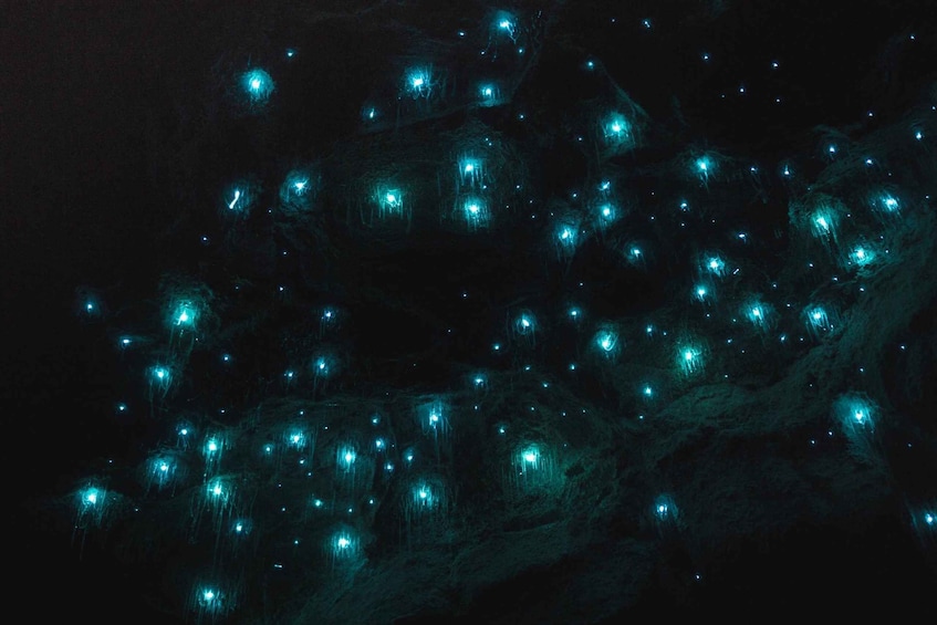 A dark scene with numerous glowing blue lights scattered across a textured surface. 5