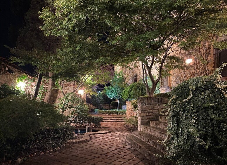 A stone pathway leading to a building at night, surrounded by lush greenery and illuminated by soft lights. 4