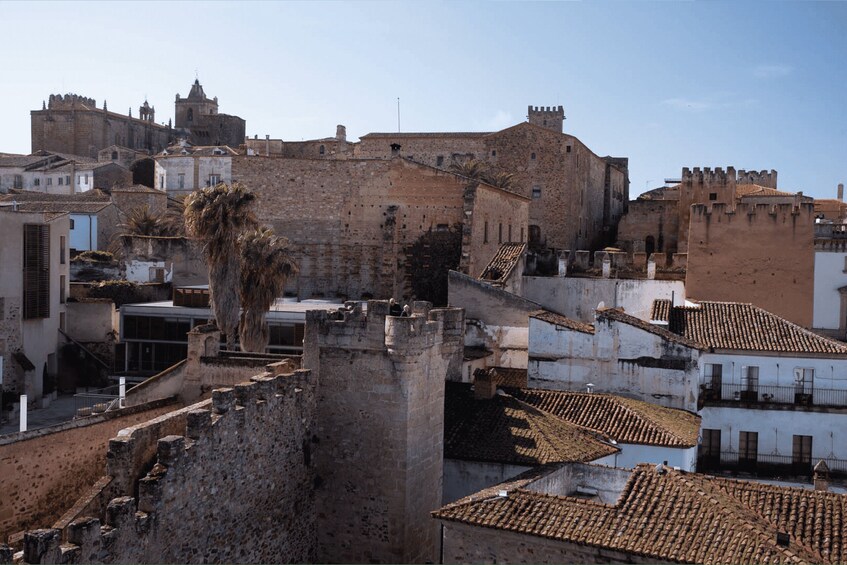 A historic cityscape with a prominent castle-like structure, a palm tree, and terracotta-roofed buildings. 2