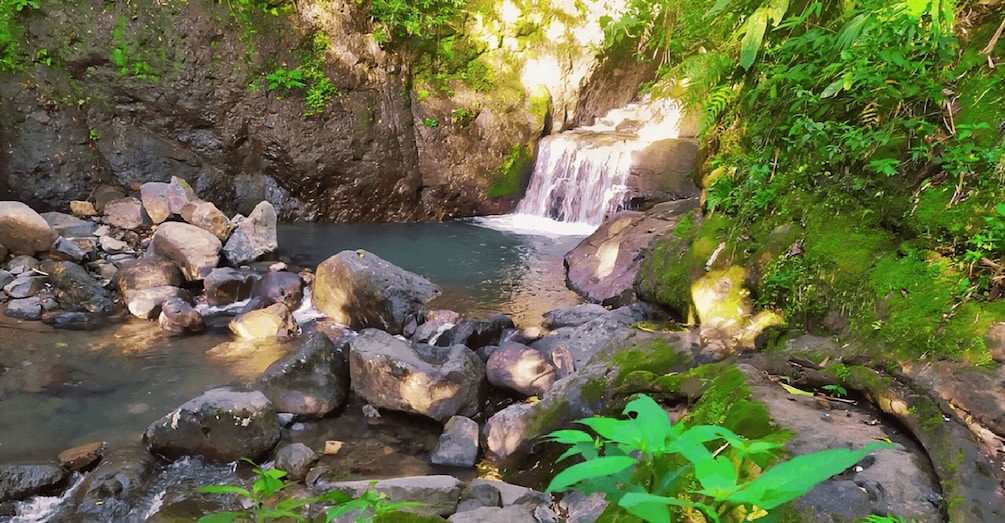 Picture 13 for Activity Panama City: Ultimate ATV Jungle & Volcano Adventure 4