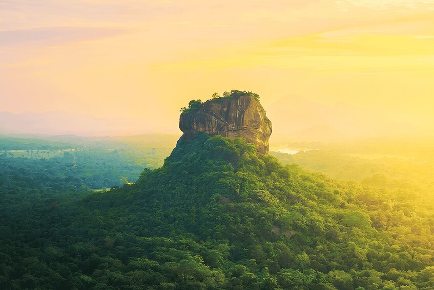 Sigiriya Lion Rock Hike & Minneriya National Park Safari 1
