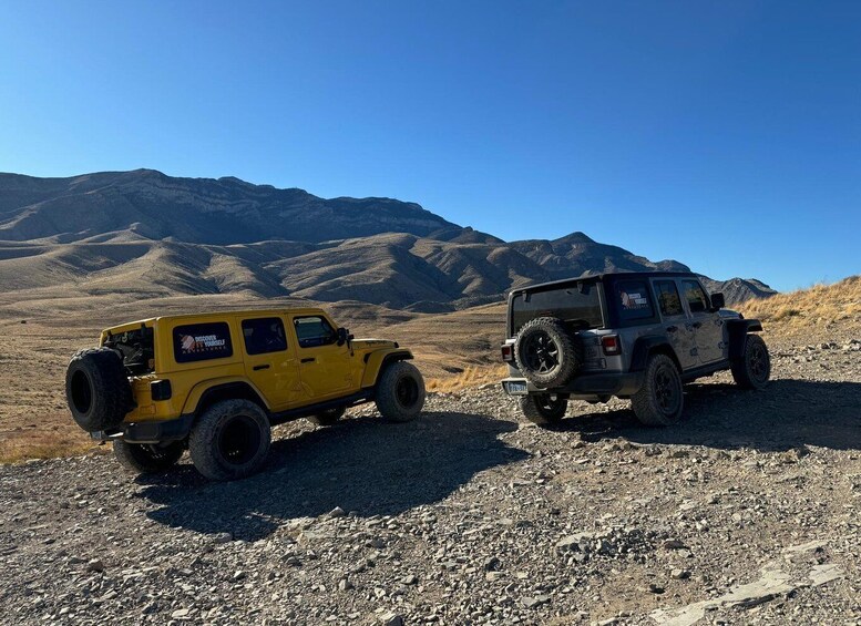 Picture 10 for Activity Las Vegas- Offroad Experience Wildlife, Ghost Towns and more 4