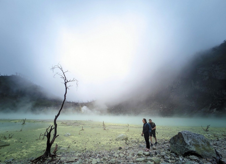 Two people standing on a rocky terrain with a misty background and a single leafless tree. 4