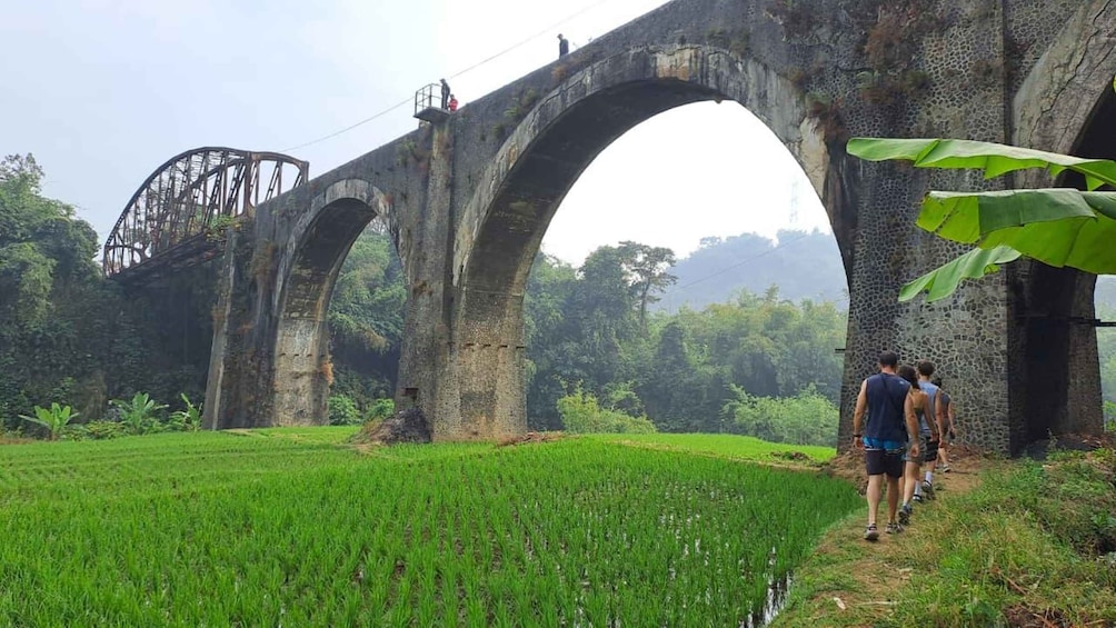 Picture 3 for Activity White Crater, Tea Plantation & Suspension Bridge Adventure 2