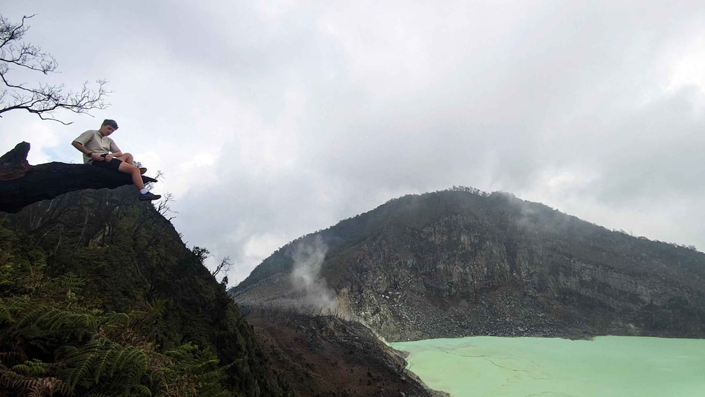 Picture 30 for Activity White Crater, Tea Fields & Suspension Bridge | Fully Guided 2