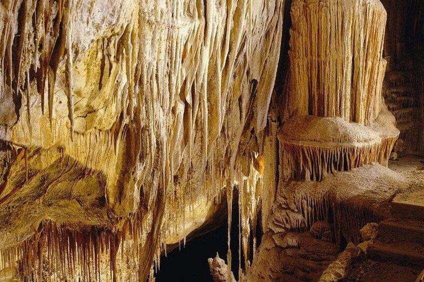 Caves Drach Boat Trip from Alcudia with Return Bus and Tickets 3