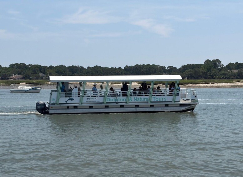 Picture 2 for Activity Hilton Head Island: 90-Minute Dolphin & Nature Tour 5