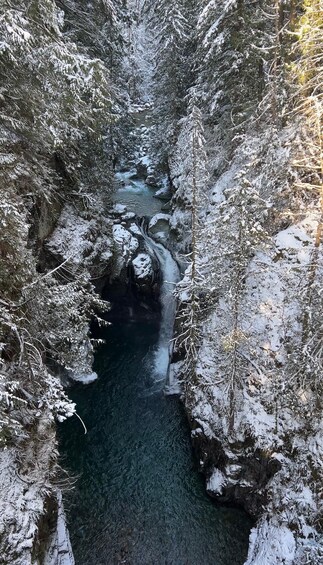 Picture 21 for Activity Vancouver: Rainforest Waterfall Hike and Suspension Bridge 5