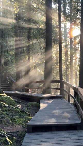 Picture 14 for Activity Vancouver: Rainforest Waterfall Hike and Suspension Bridge 4