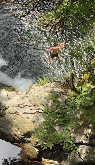 Picture 15 for Activity Vancouver: Rainforest Waterfall Hike and Suspension Bridge 2