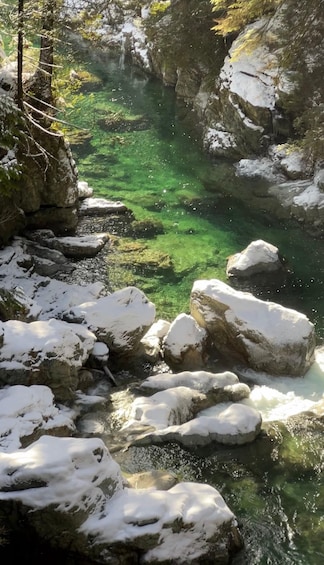 Picture 19 for Activity Vancouver: Rainforest Waterfall Hike and Suspension Bridge 3