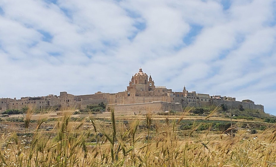 A large fortress-like structure with a central tower, surrounded by dry grass and fields. 5