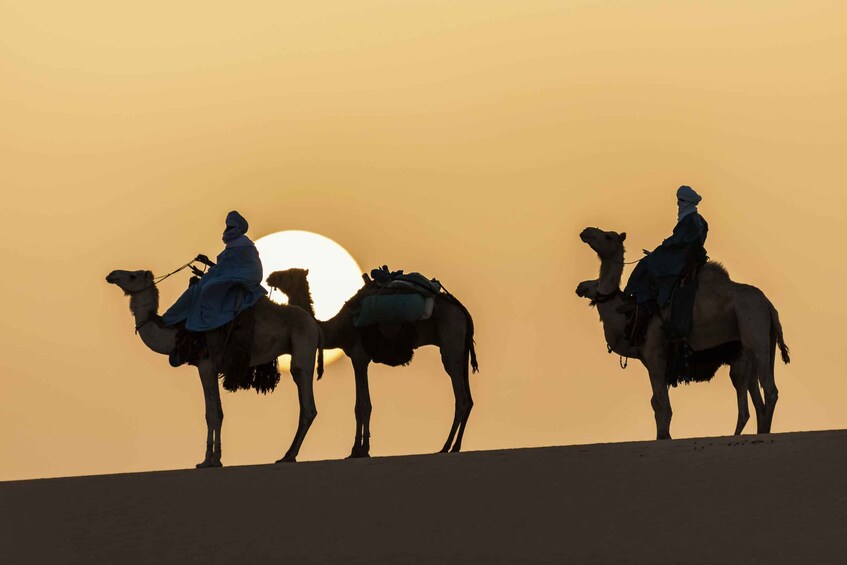 Three camels with riders silhouetted against a sunset. 3