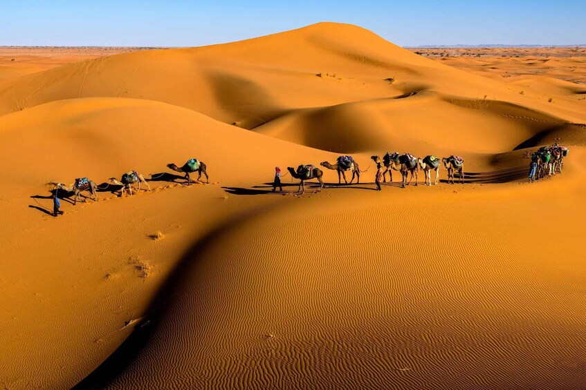 A group of camels and riders traversing a desert with sand dunes. 5
