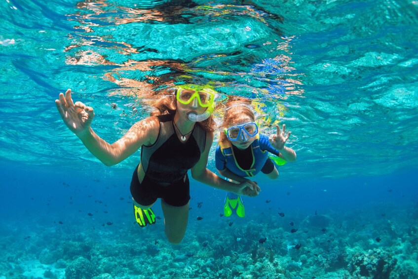 Picture 1 for Activity From Huatulco: Huatulco Bays Private Tour 3