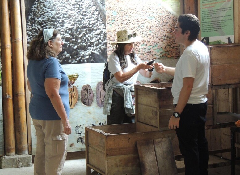 Picture 31 for Activity From Quito: Guided Day Trip to the Mindo Cloud Forest 2