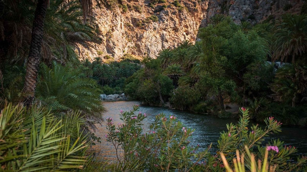 A river flowing through a canyon with dense vegetation and rocky cliffs. 2