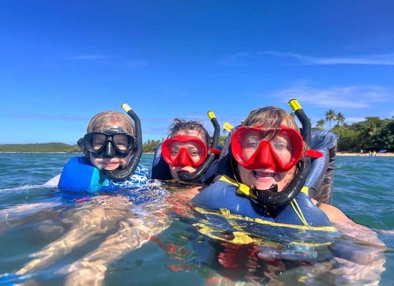 Three people snorkeling in clear blue water with a tropical beach and palm trees in the background. 3