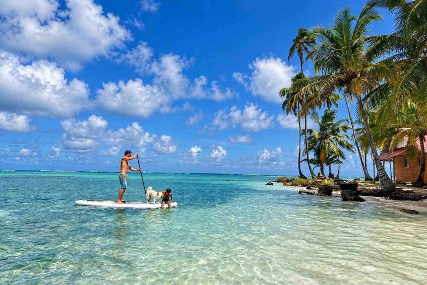 A person paddleboarding on clear turquoise water with a dog, palm trees, and a beach house in the background. 5