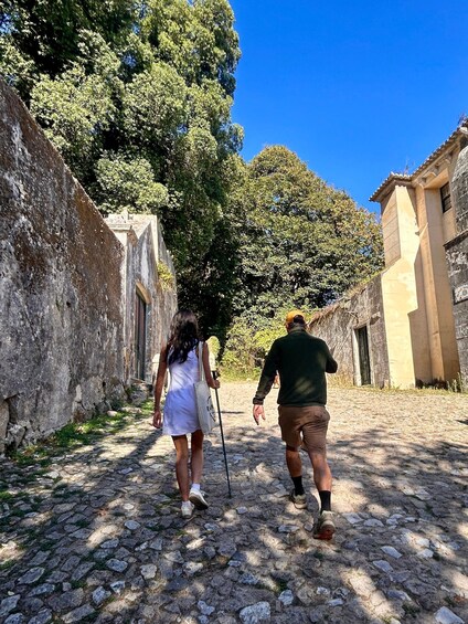 A cobblestone path with two people walking, surrounded by old buildings and trees. 1