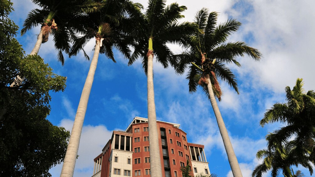 A building surrounded by tall palm trees against a blue sky with clouds. 4