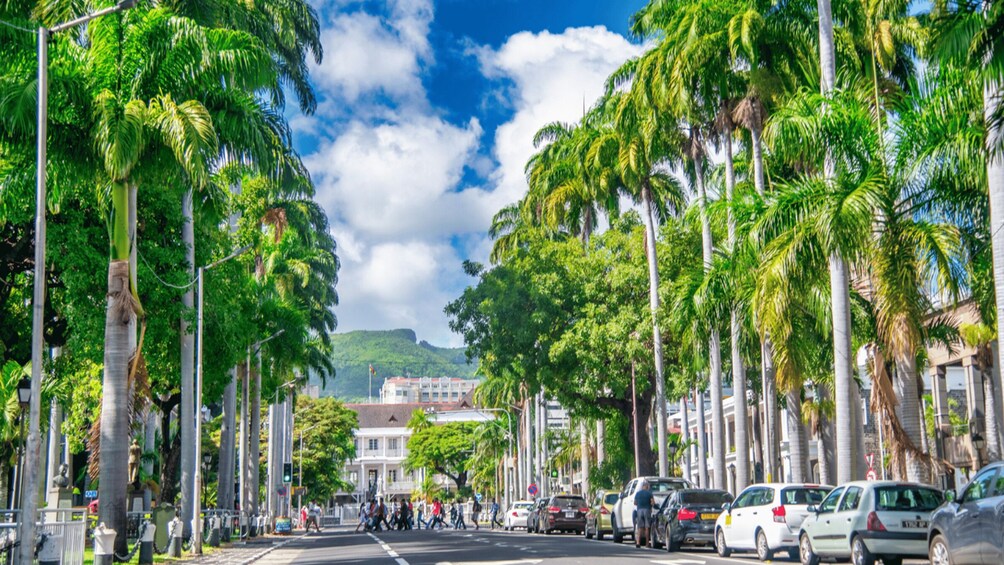 A street lined with palm trees and parked cars, with people walking and a building in the background. 1
